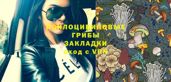 молекула духа Переславль-Залесский
