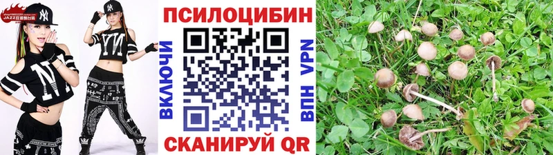 Псилоцибиновые грибы Cubensis  купить  цена  Бабаево 